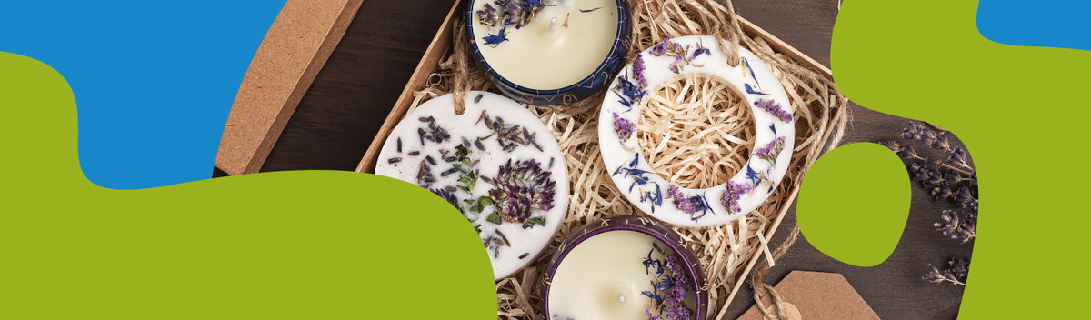 Scented Wax Melts & Oil Burners: Home Fragrance Guide
