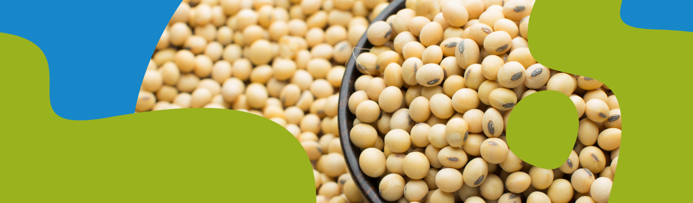 Isoflavones for Menopause: Benefits & Supplements