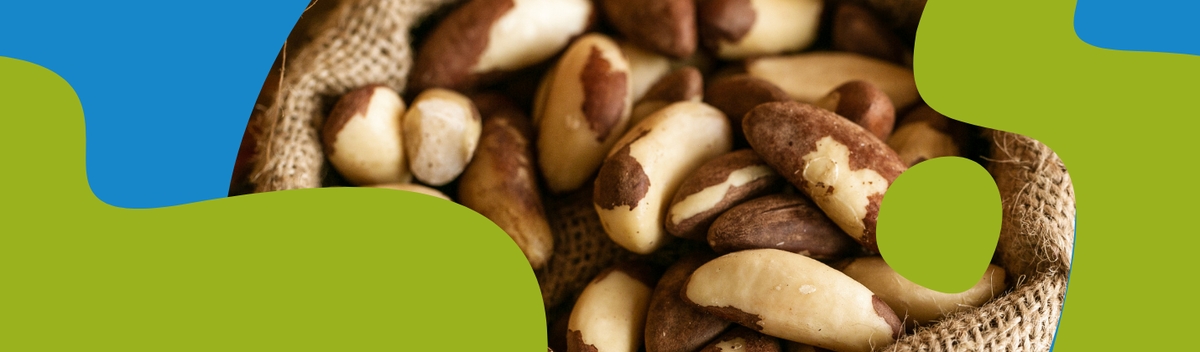 Brazil Nuts – Selenium, Properties & Uses