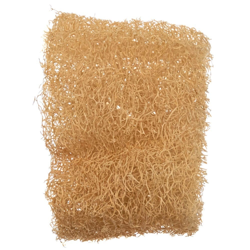 Najel Luffa Sponge - 1 Piece