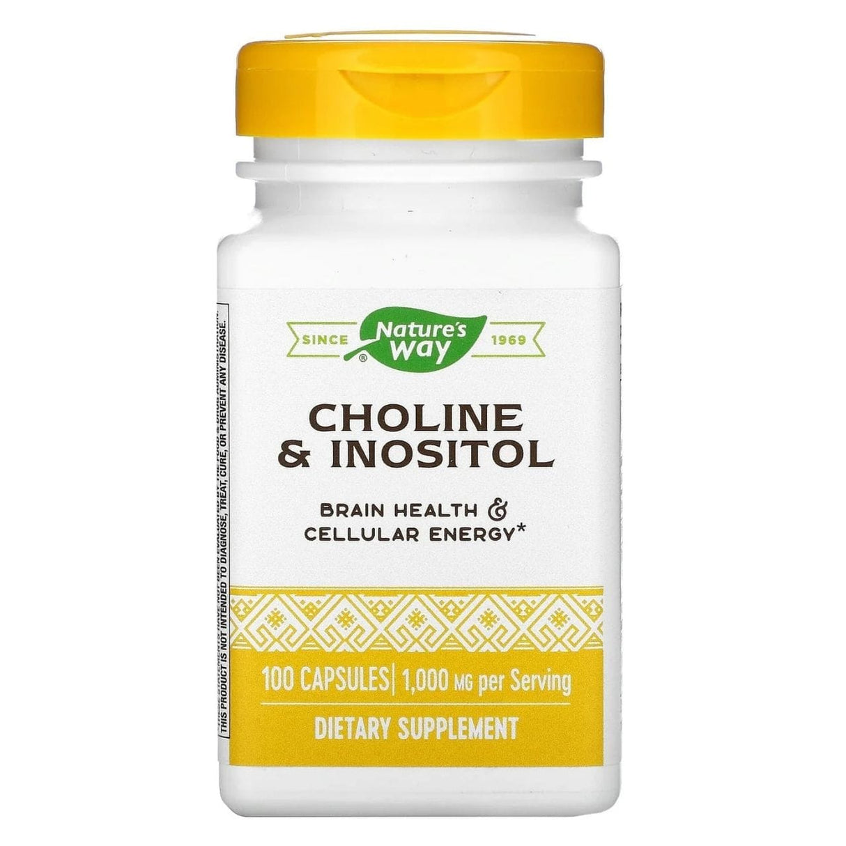Nature's Way Choline & Inositol 250 mg - 100 Capsules