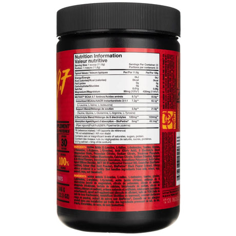 PVL BCAA 9.7, Fruit Punch - 348 g