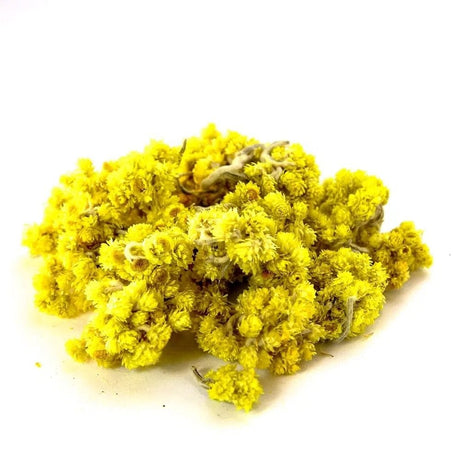 Ziółko Dwarf Everlasting - 25 g